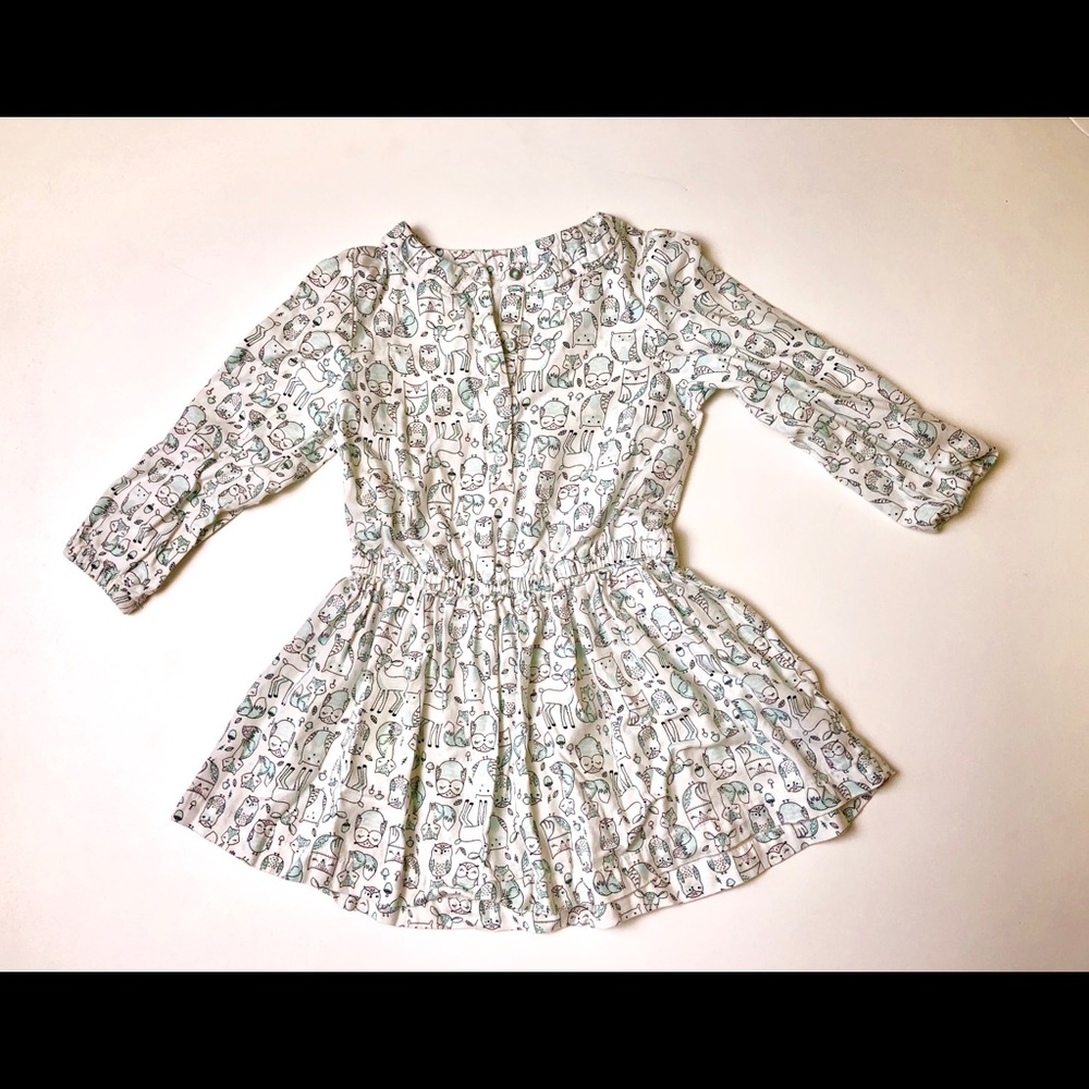 Long Sleeve Button Down Dress